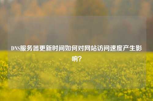 DNS服務器更新時間如何對網(wǎng)站訪問速度產(chǎn)生影響？