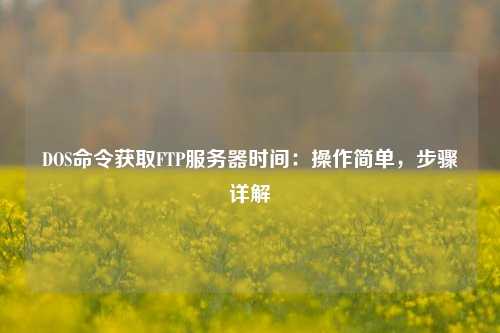DOS命令獲取FTP服務(wù)器時(shí)間：操作簡(jiǎn)單，步驟詳解