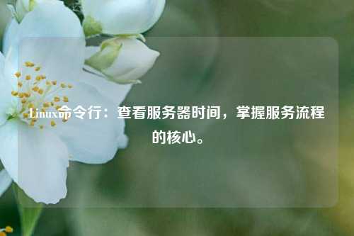 Linux命令行：查看服務器時間，掌握服務流程的核心。