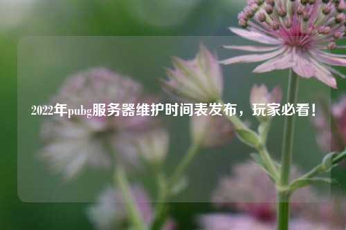 2022年pubg服務器維護時間表發(fā)布，玩家必看！
