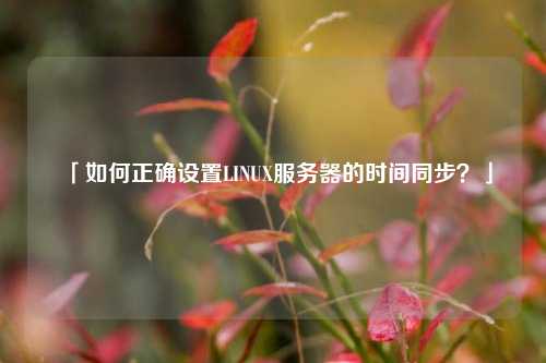 「如何正確設(shè)置LINUX服務(wù)器的時間同步？」