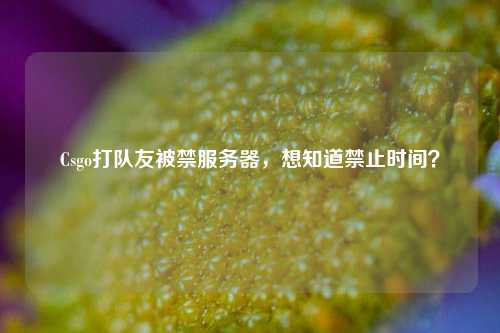 Csgo打隊友被禁服務(wù)器，想知道禁止時間？