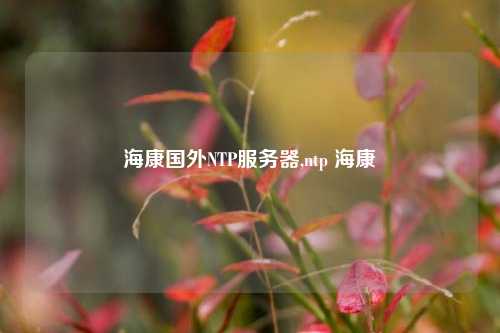 ?？祰?guó)外NTP服務(wù)器,ntp ?？? /></a></div>        <div   id=